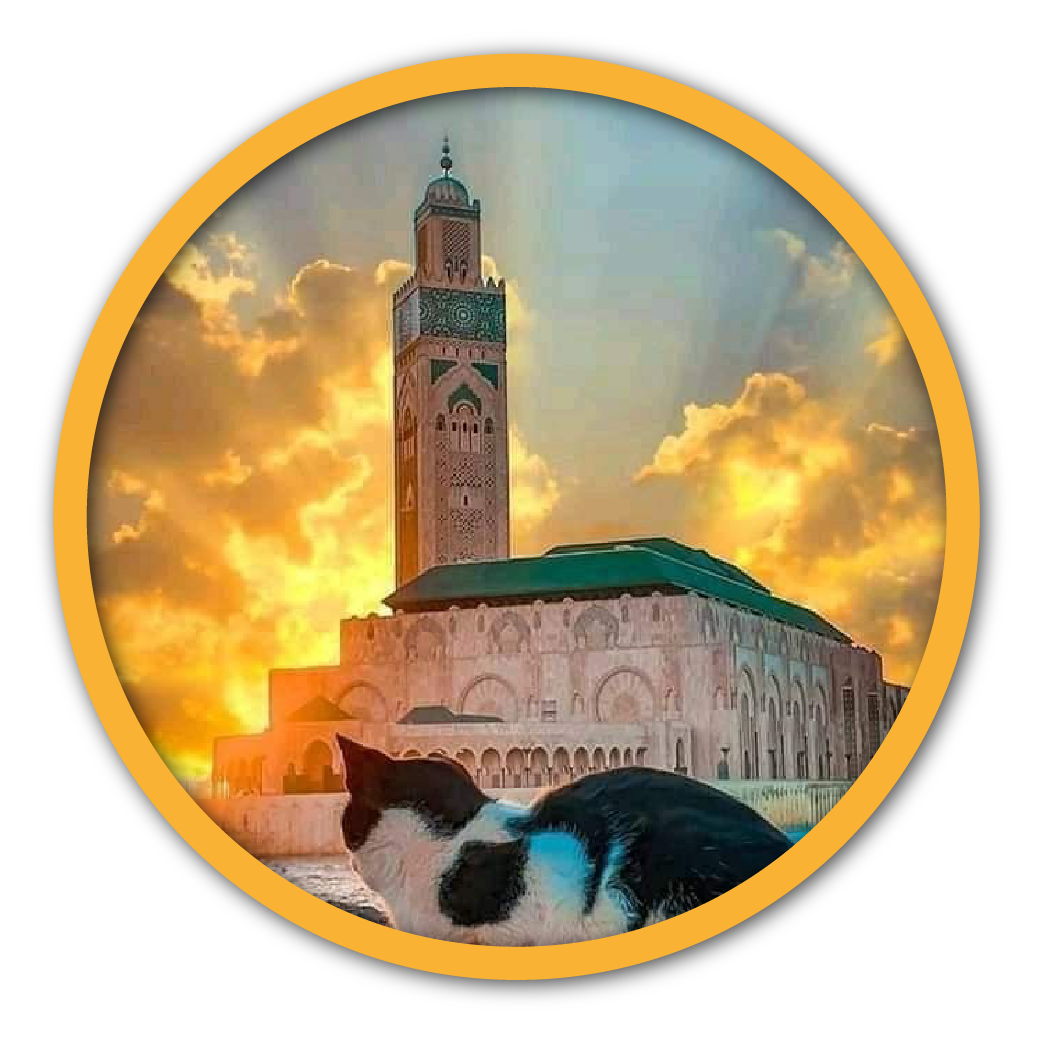 10 days tour from Rabat to Casablanca via Tanger and Merzouga Sahara